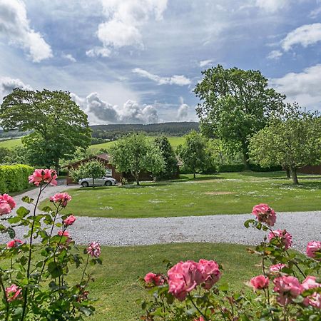 Laburnum Lodge Sleeps 6 Wheelchair Access Minehead Eksteriør bilde