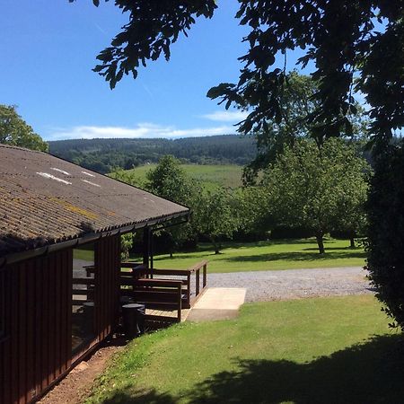 Laburnum Lodge Sleeps 6 Wheelchair Access Minehead Eksteriør bilde